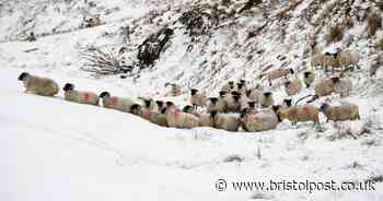 Met Office shares date UK snow could fall as Indian Summer ends