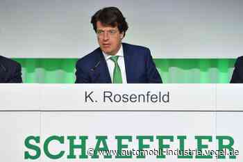 Was Schaeffler mit Vitesco plant