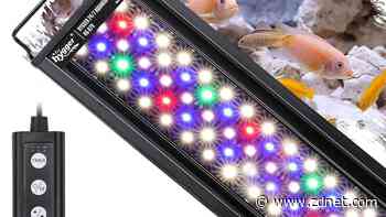 This Amazon Prime deal will keep your fish tank well-lit and add peace to your office
