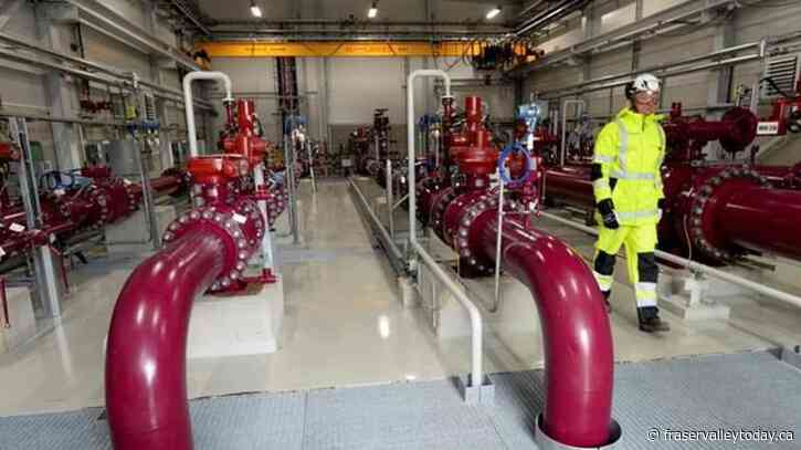 Finnish president says undersea gas and telecom cables damaged by ‘external activity’