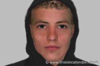 E-fit released after woman assaulted in Hither Green