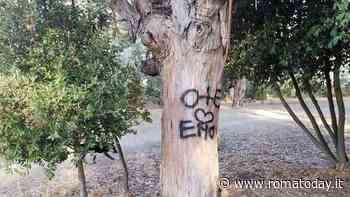 Il nome della coppia sulla corteccia: vandali in azione nel futuro monumento naturale