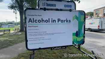 Pilot program allowing Toronto residents to drink in parks comes to an end