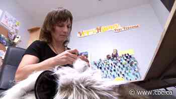 New children's program produced in Pakistan using puppets made by Saskatoon puppet maker