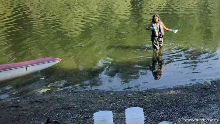 Understanding green waters, Sqwá First Nation of Chilliwack looks at water quality monitoring