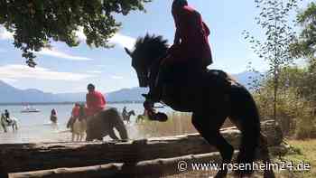 Schleppjagd auf Herrenchiemsee: So gingen 45 Jagdreiter und 30 Hunde auf Jubiläumsjagd
