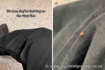 TikTok video shows ‘bedbug’ on London Victoria Line tube
