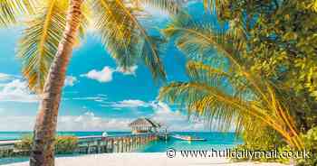 A third of firms happy for staff to embrace digital nomad lifestyle, with three in four considering it