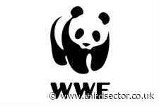 WWF-UK more than halves the number of proposed redundancies after consultation