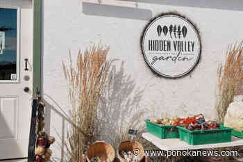 Fall’s Bounty 2023: Harvest season is a big time of year for Hidden Valley Garden