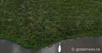 RCMP launches investigation into Ford government Greenbelt landswap