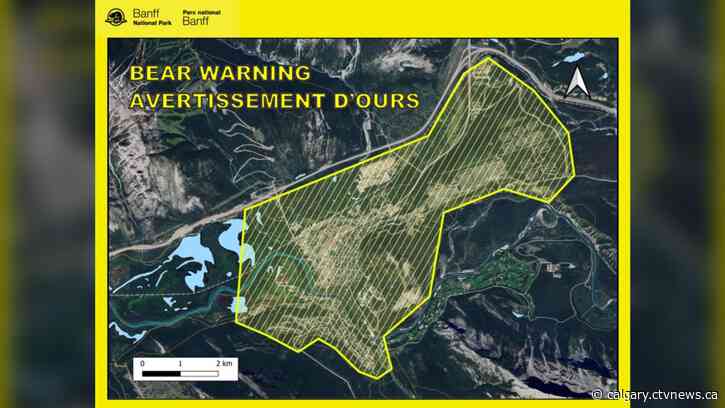 'Be prepared to encounter a bear': Warning issued in Banff