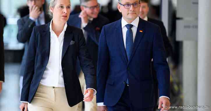 AfD-Fraktionschefs bestätigt – Chrupalla zurück