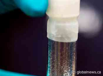 More than 1,100 people died from toxic drugs in Alberta so far in 2023