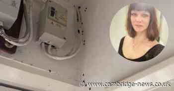 Cambridgeshire woman forced out as a swarm of ladybirds laid siege to her house