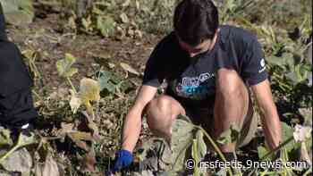 Denver-area nonprofit lends a helping hand for Indigenous Peoples Day