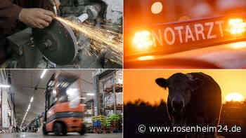 800-Kilo-Stier rastet bei Besamung aus und erdrückt beinahe Landwirt – schwer verletzt