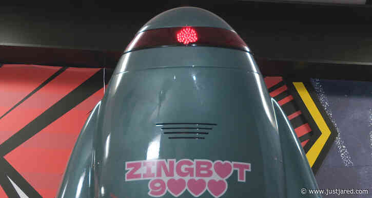 Did You Know This About Zingbot on 'Big Brother'?