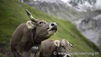Bundesrat möchte weniger Geld für die Landwirtschaft ausgeben