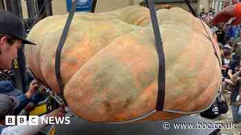 Pumpkin weighing 2,749lb squashes world record