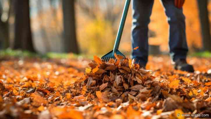 Bagged leaf collection in Fort Wayne begins October 16