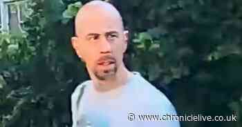 Police release CCTV after wing mirror punched off car in Gateshead