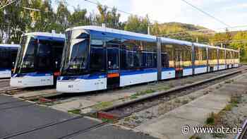 Bäume müssen weichen vor modernem ÖPNV in Jena