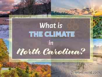 What is North Carlolina's year-round climate like? Think mild and beautiful