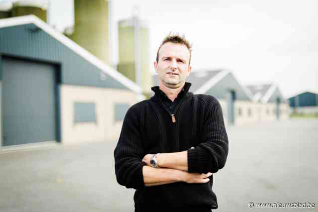 “Als maar elf mensen in heel Wuustwezel én Hoogstraten hinder ervaren, denk ik niet dat we van een probleem moeten spreken”, reageert pluimveehouder uit ‘Chicken Valley’