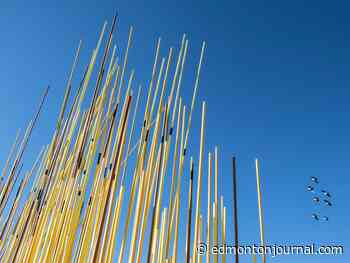 Edmonton weather: Bit cooler today but not too shabby