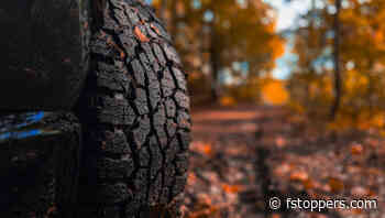 Comparing a $10,000 Camera Setup With the iPhone 15 Pro Max