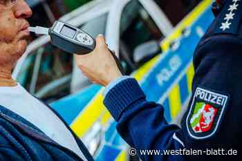 Lübbecke: Polizei zieht Betrunkenen aus dem Verkehr