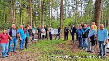 Forsteinrichtung Bad Wildbad: Wald bringt große Aufgabe – und kein Geld