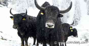 Ether Could Hit $8K by End of 2026: Standard Chartered