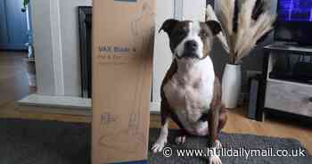 Powerful cordless vacuum that's 'better than Shark' slashed in Amazon Big Deal Days sale