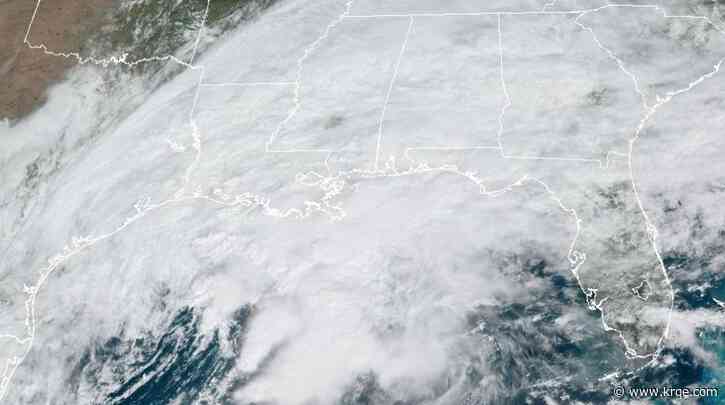 LIVE: System brings rain, severe storm risk to Gulf coast