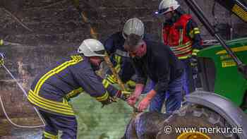 Feuerwehr rettet Schweine aus vier Meter tiefer Güllegrube – Landwirt spendiert Spanferkel
