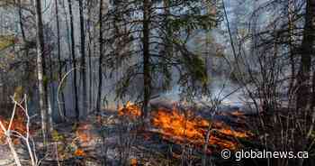 Trudeau visiting Northwest Territories ravaged by record wildfires