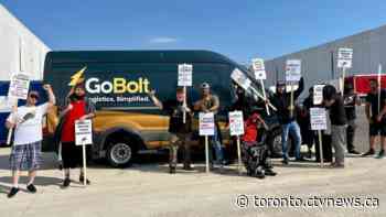Group of Ontario drivers protesting 'mass termination' from U.S.-Canada delivery company months after forming union
