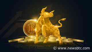 Bitcoin Supply Metric Touches New All-Time High, Time For Reversal?