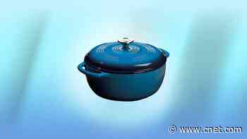 This Lodge Dutch Oven Is the Only Thing I Bought for Myself During Prime Day     - CNET