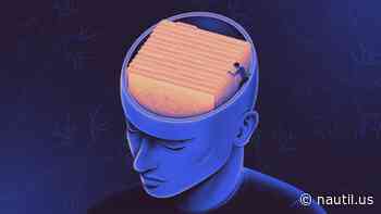 Where Our Brains Save Different Kinds Of Memories