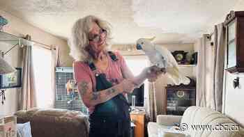 'This is all I have left': Man living in Breslau, Ont., RV park at risk of losing it all