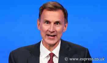 Jeremy Hunt warned to slash spending or hike taxes as IMF weighs in on debt