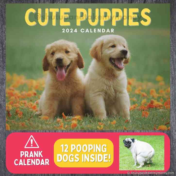 Cute Puppies 2024 Prank Calendar