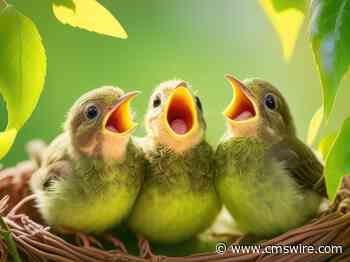 Modern Voice of the Customer Analysis: Beyond Surveys