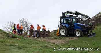 Sycamore Gap tree LIVE: Updates as Northumberland landmark being removed by crane