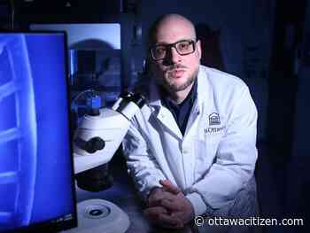 Monitoring wastewater gives Ontario health officials an early warning of respiratory virus