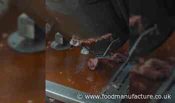 Arm crush lands food firm with £20k fine