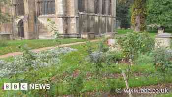 Peterborough Cathedral condemns vandalism at graveyard